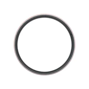 Pai 136126 Cummins 3926126 Rear Seal Kit — 3