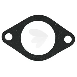 Gasket Thermostat - T20215