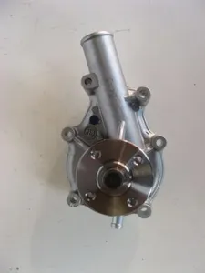 EX30 WATER PUMP