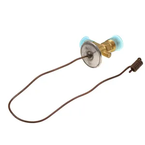 Expansion Valve 1-7844 for CASE IH Tractor 9190 CM325 PTA280 PTA297 PTA310 — 4