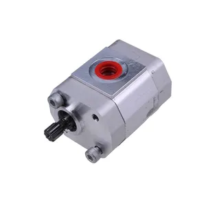 Hydraulic Pump 169261 for Skyjack SJIII3215 SJIII3219 SJIII3220 SJIII3226 SJIII4620 SJIII4626 SJIII4632 — 5