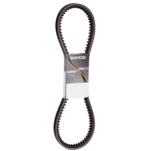 Dayco Accessory Drive Belt 17405