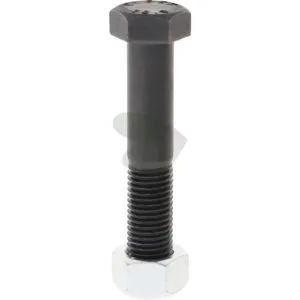 Screw with nut M20x2,5x110 mm 10.9
