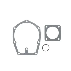 Pai 181805 Cummins 3801708 Water Pump — 5