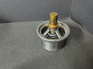 PAI KIT, THERMOSTAT 181833 — 2