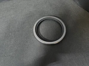 PAI KIT, THERMOSTAT 181835 — 3