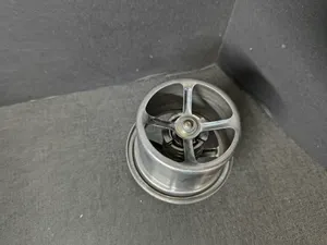 PAI KIT, THERMOSTAT 181835 — 2