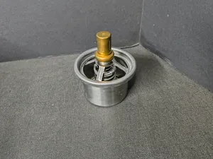 PAI KIT, THERMOSTAT 181835 — 5