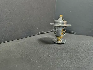 PAI THERMOSTAT 181860 — 2
