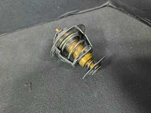 PAI THERMOSTAT 181860 — 5