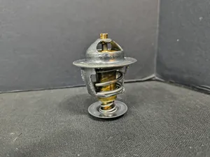 PAI THERMOSTAT 181860 — 4