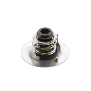 Pai 181863 Cummins 4090093 Thermostat — 2