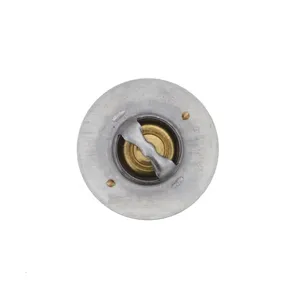 Pai 181863 Cummins 4090093 Thermostat — 3