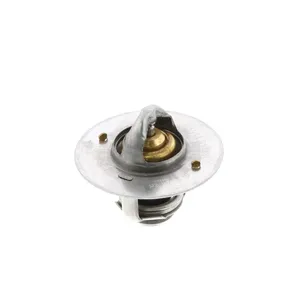 Pai 181863 Cummins 4090093 Thermostat