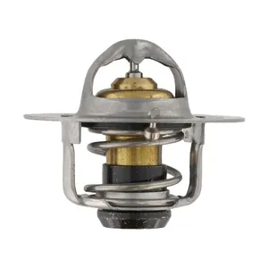 Pai 181866 Cummins 3954830 Thermostat Kit — 5