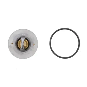 Pai 181866 Cummins 3954830 Thermostat Kit — 3