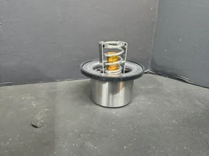 PAI THERMOSTAT,(180) 181887 — 4