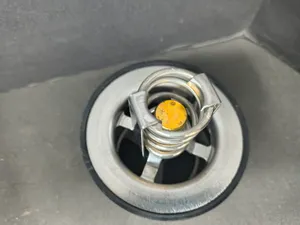 PAI THERMOSTAT,(180) 181887