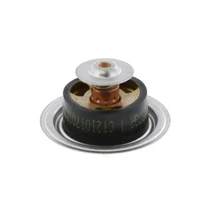 Pai 181888 Cummins 3928499 Thermostat — 2