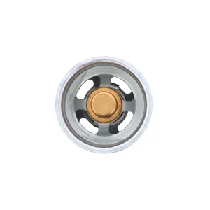 Pai 181925 Cummins 4952629 Thermostat — 3
