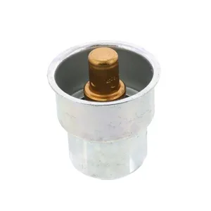 Pai 181925 Cummins 4952629 Thermostat