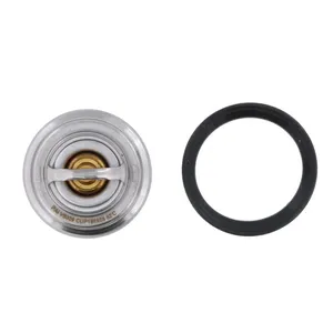 Pai 181928 Cummins 5273379 Thermostat Kit — 3