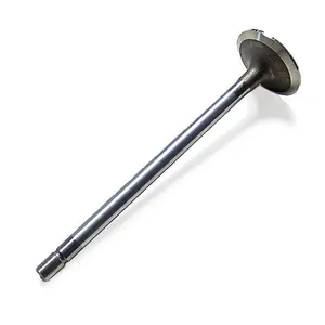 1839968C1 | Navistar Maxxforce DT/9/10/DT466E/570E Intake Valve
