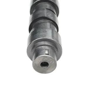 Pai 191926 Cummins 3037523 Camshaft — 3