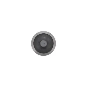 Pai 191953 Cummins 3068519 Intake Valve — 3
