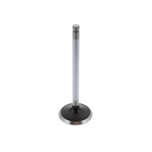 Pai 191968 Cummins 3920868 Exhaust Valve