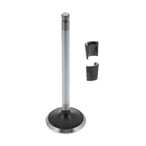 Pai 191970 Cummins 3802356 Exhaust Valve Kit