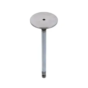 Pai 191980 Cummins 3920867 Intake Valve — 2