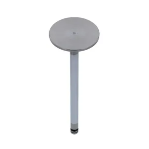 Excel 191980E Cummins 3920867 Intake Valve — 2