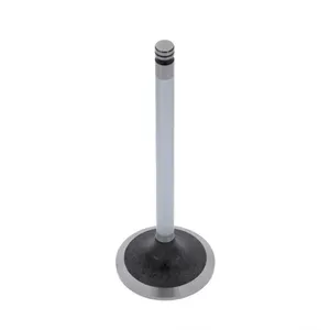 Excel 191980E Cummins 3920867 Intake Valve