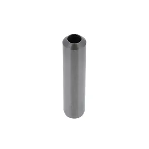Pai 192036 Cummins 3201311 Stem Valve Guide