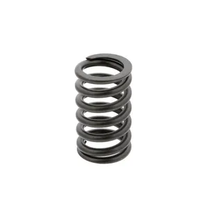 Pai 192054 Cummins 3900276 Valve Spring