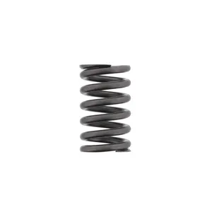 Pai 192054 Cummins 3900276 Valve Spring — 2