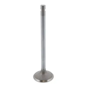 Pai 192272 Cummins 4981795 Exhaust Valve