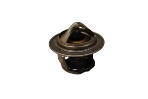 160°F Thermostat for Kubota L Series, M Series and More
