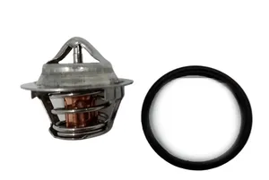 Thermostat KUBOTA D1005 V2203 D1703 V1505 D902   PERKINS 403-11 404-22 76 Grad