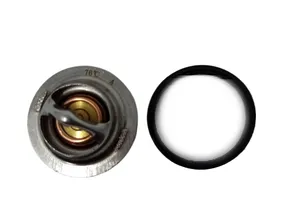 Thermostat KUBOTA D1005 V2203 D1703 V1505 D902   PERKINS 403-11 404-22 76 Grad — 2