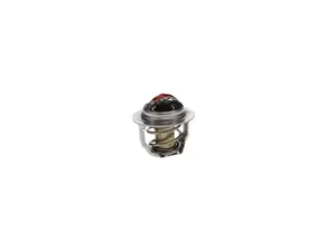 Kubota Thermostat D902