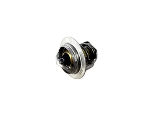 Original Kubota Thermostat 1E40173012
