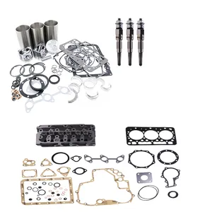 Standard Overhaul Rebuild Kit & Complete Cylinder Head & Glow Plug for Kubota Engine D722