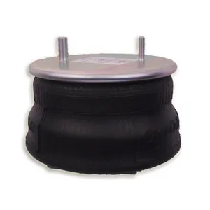 Bolsa De Aire Goodyear 1R13-130