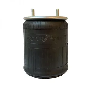 Bolsa de Aire Goodyear 1R13-235