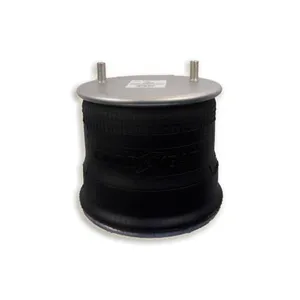 Bolsa De Aire Goodyear 1R14-039