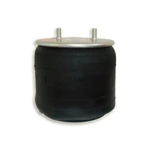 Bolsa De Aire Goodyear 1R14-172