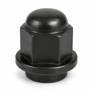 201.3014P2 - Flanged Cap Nut 2 GA