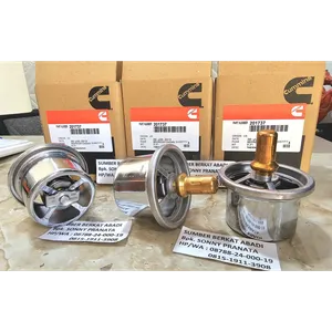 CUMMINS 201737 3076489 THERMOSTAT 3002964 3022299 146077 — 6
